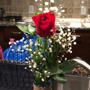 Meet your Posher, Satonia